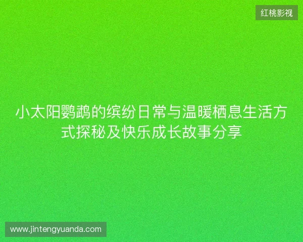 小太阳鹦鹉的缤纷日常与温暖栖息生活方式探秘及快乐成长故事分享 小太阳鹦鹉的缤纷日常与温暖栖息生活方式探秘及快乐成长故事分享